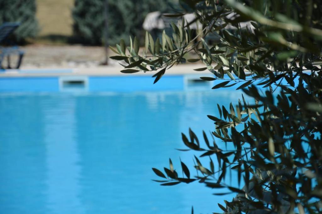 Apartments Agata Nova Vas  Dış mekan fotoğraf